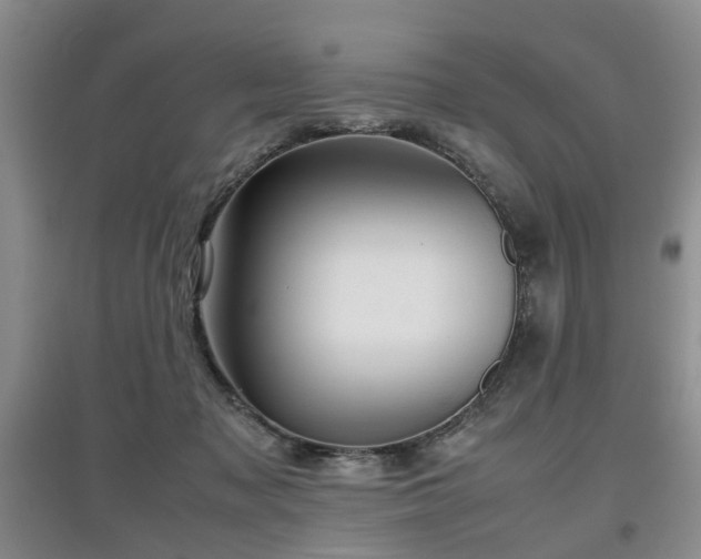 X0000097920317200803141447