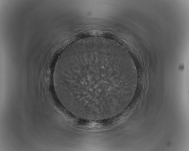 X0000097920319200803141447