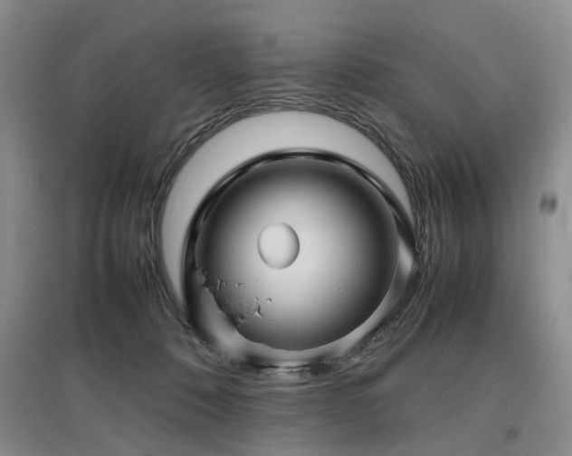 X0000097920320200803141447