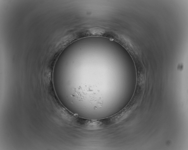 X0000097920321200803141447