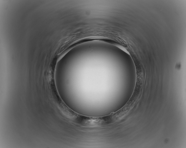 X0000097920323200803141447
