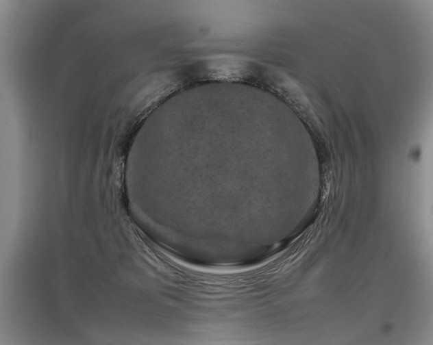 X0000097920325200803141447