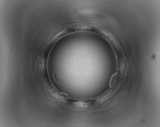 X0000097920326200803141447