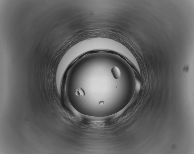 X0000097920328200803141447