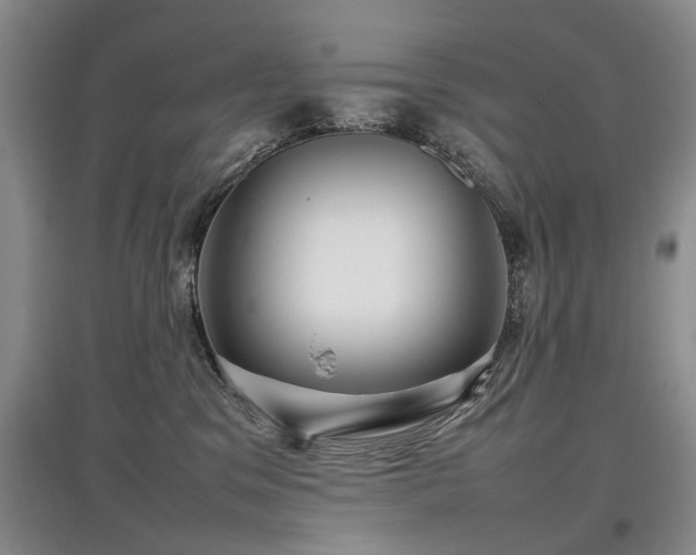 X0000097920329200803141447