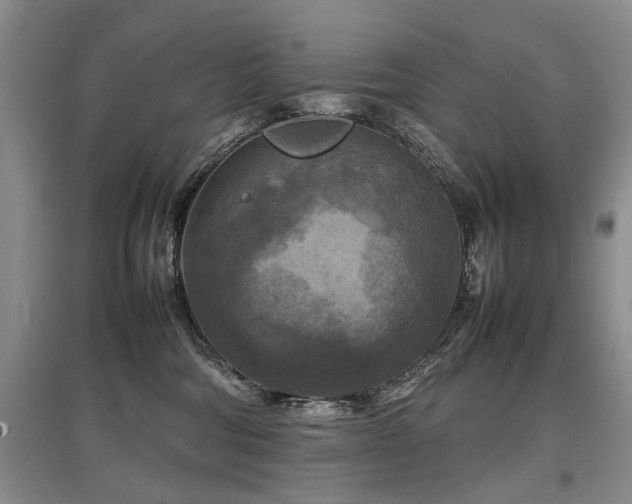 X0000097920330200803141447