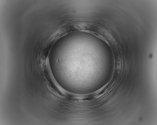 X0000097920332200803141447
