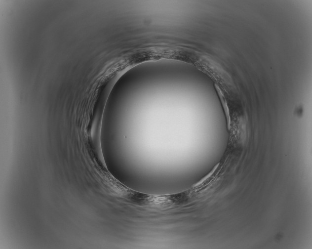 X0000097920333200803141447