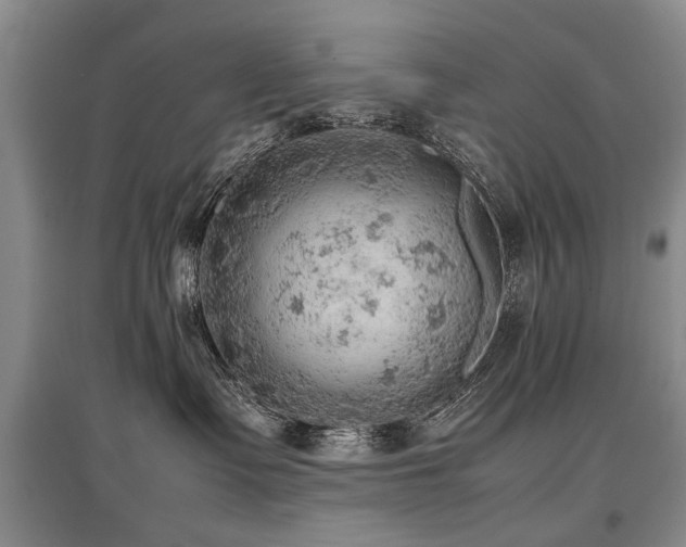 X0000097920335200803141446