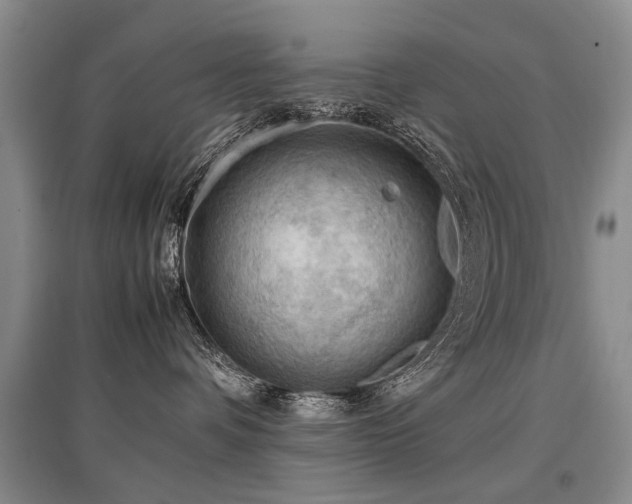X0000097920336200803141446