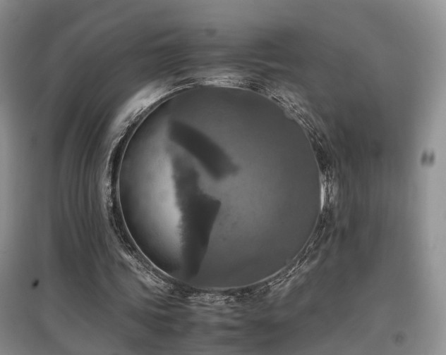 X0000097920339200803141446