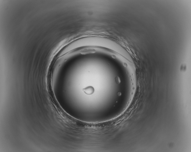 X0000097920340200803141446