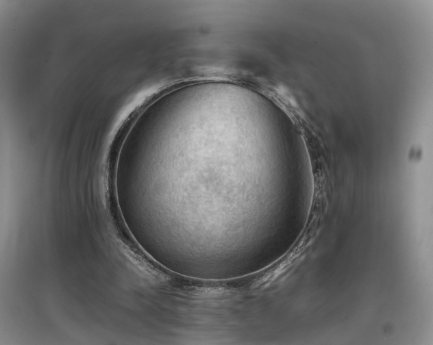 X0000097920342200803141446