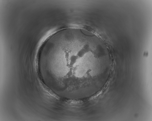X0000097920343200803141446