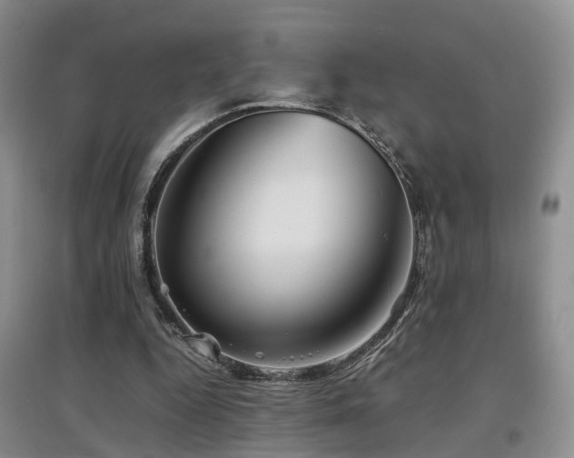 X0000097920344200803141446