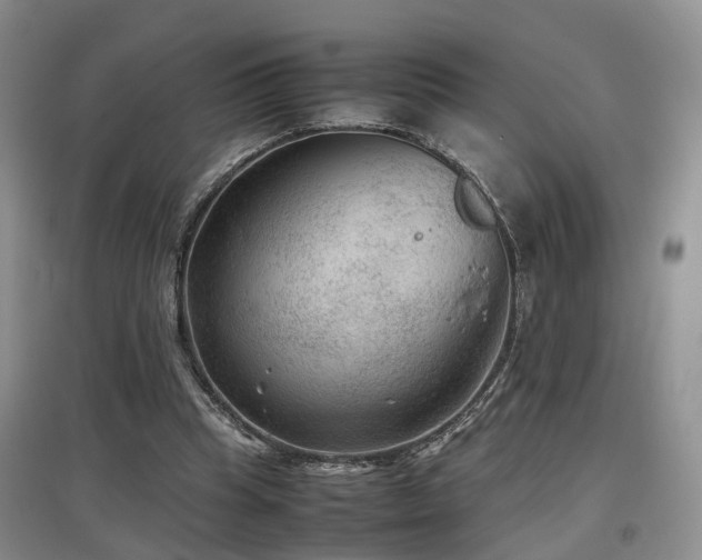 X0000097920345200803141446