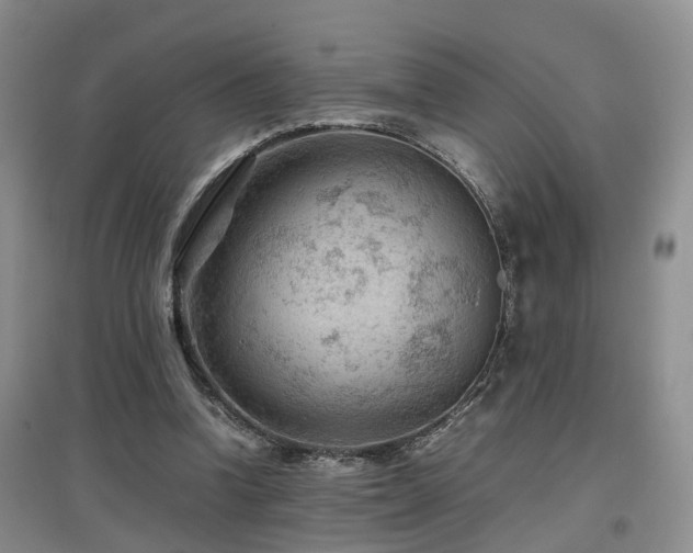X0000097920346200803141446