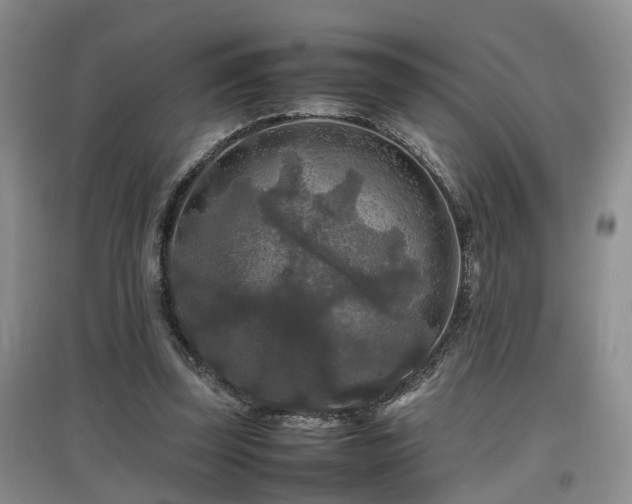 X0000097920347200803141446
