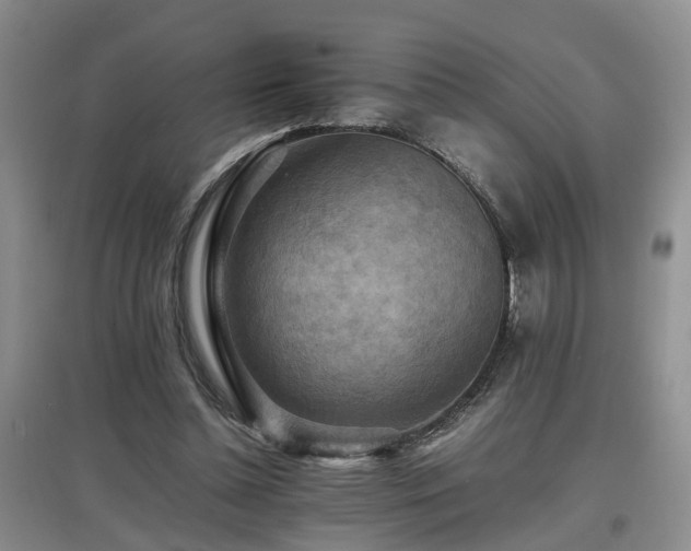 X0000097920348200803141446