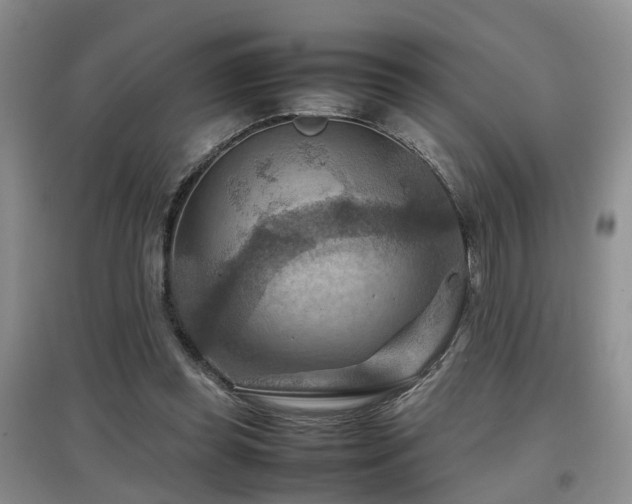 X0000097920349200803141446