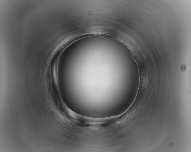 X0000097920350200803141446