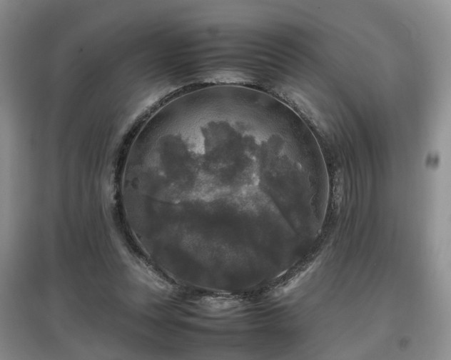 X0000097920351200803141446