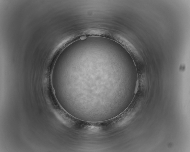 X0000097920352200803141446