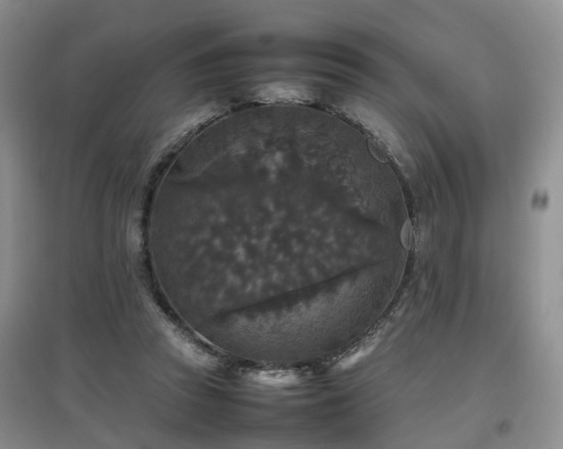 X0000097920353200803141446