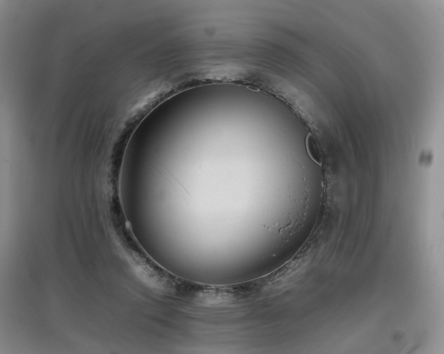 X0000097920354200803141446