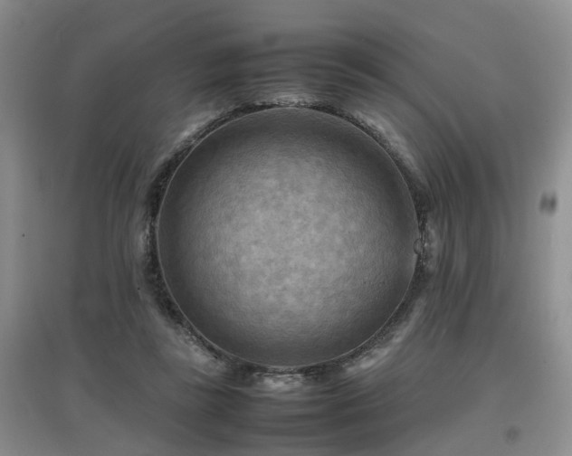 X0000097920355200803141446