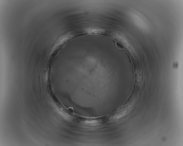 X0000097920357200803141446