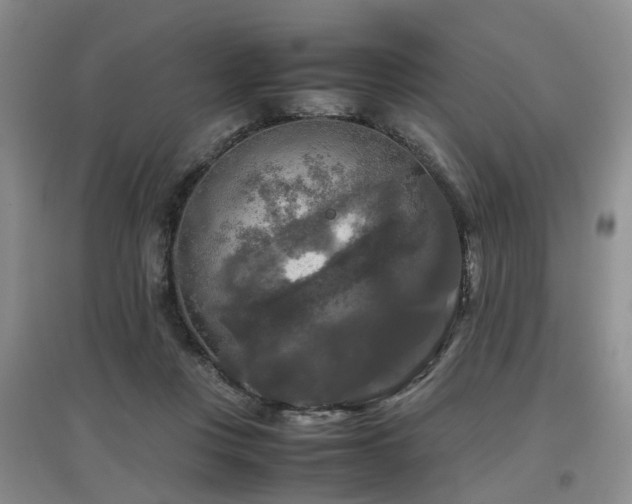 X0000097920359200803141446
