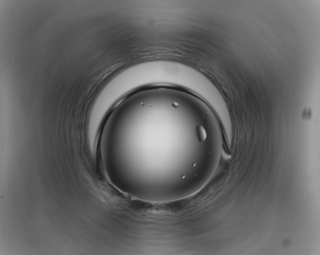 X0000097920360200803141446