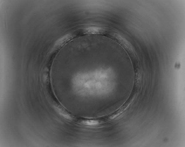 X0000097920361200803141446