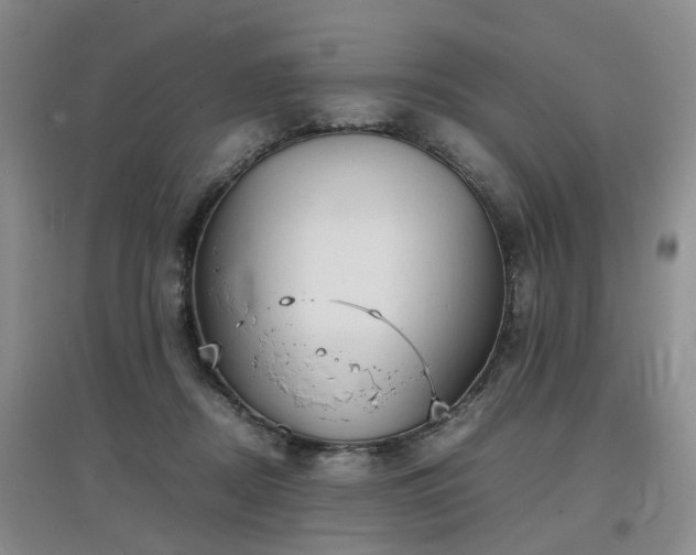 X0000097920362200803141446