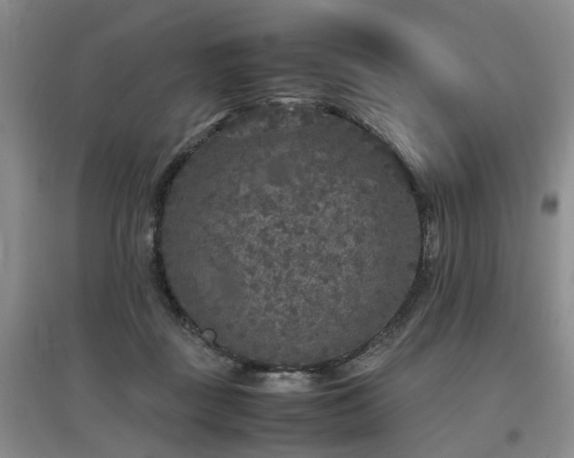 X0000097920363200803141446