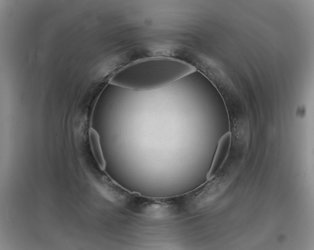 X0000097920364200803141446