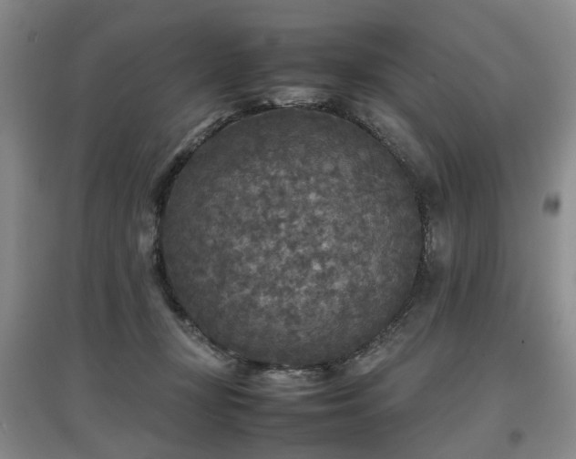 X0000097920367200803141446