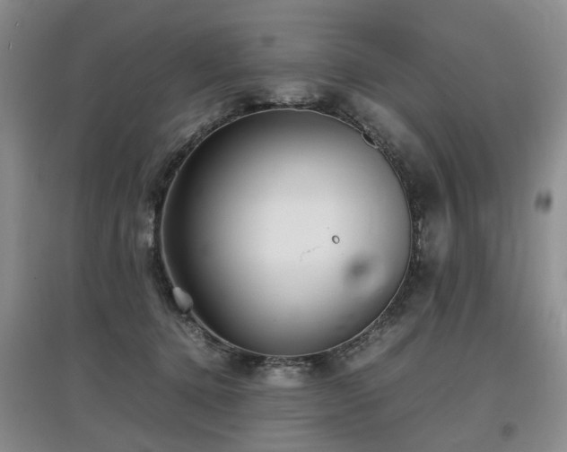 X0000097920368200803141446