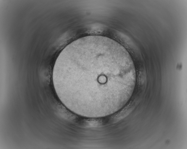 X0000097920370200803141446