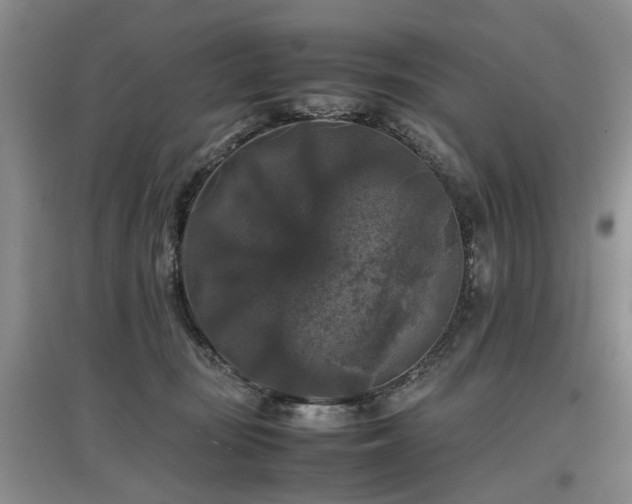 X0000097920371200803141446