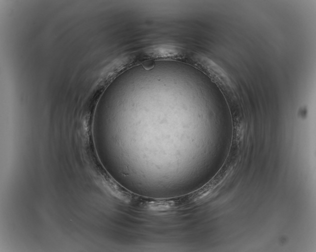 X0000097920373200803141446