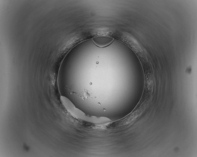 X0000097920374200803141446
