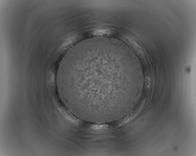 X0000097920375200803141446