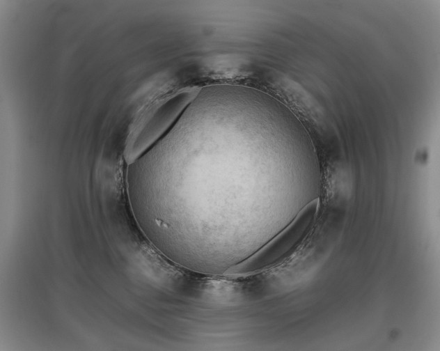 X0000097920376200803141446