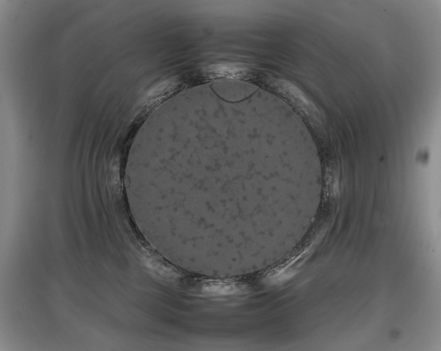 X0000097920377200803141446