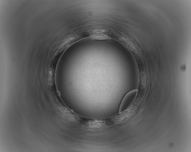 X0000097920378200803141446