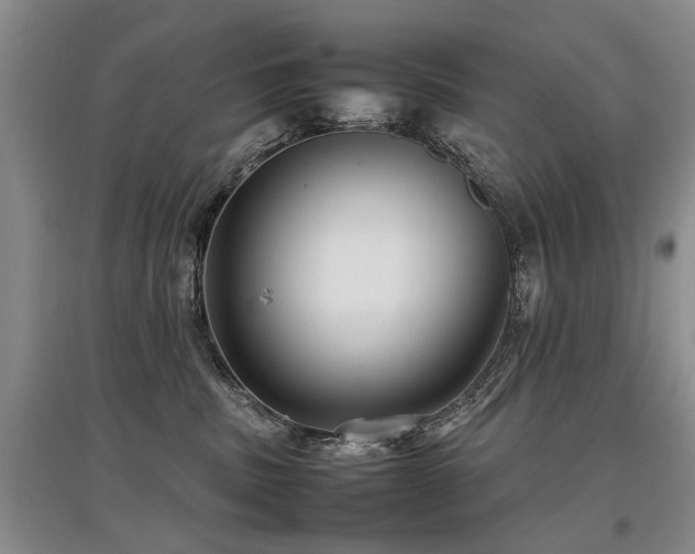 X0000097920379200803141446