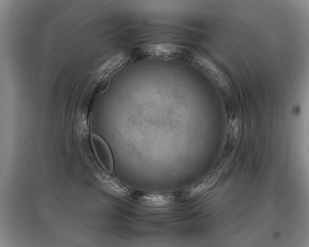 X0000097920381200803141446