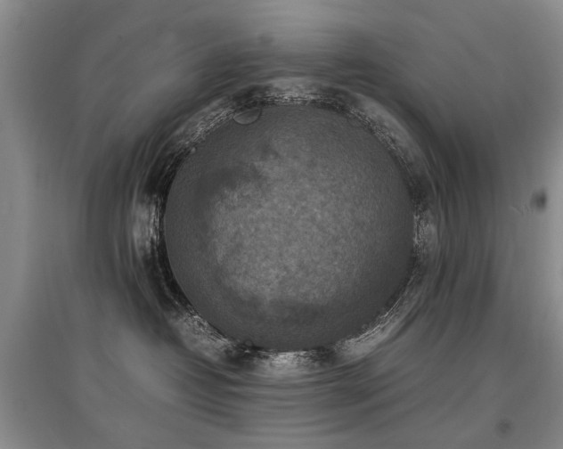 X0000097920382200803141446